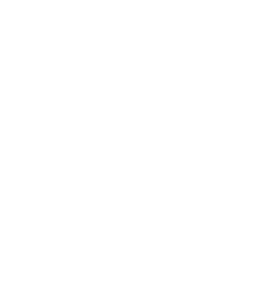 SAIグループ